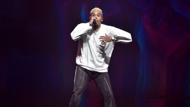 Chris Brown Cancels Meet and Greet, Following Stage Mishap